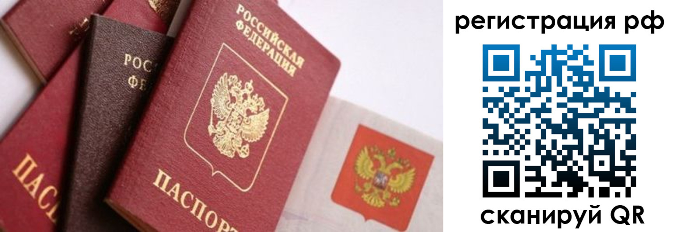прописка гарантия в Михайловке